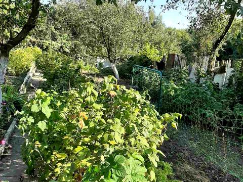 дом по адресу Доватора