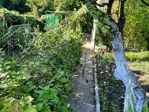 дом по адресу Доватора