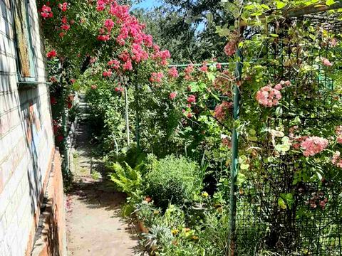 дом по адресу Доватора