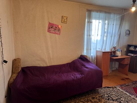 квартира по адресу Каменецкая ул., 259/1