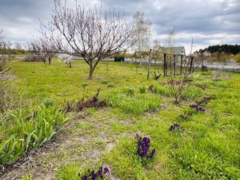 дом по адресу Соснова, 6