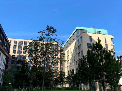 квартира за адресою Салютна вул., 2к6