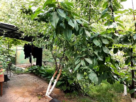 дом по адресу Высоковольтная ул., 37