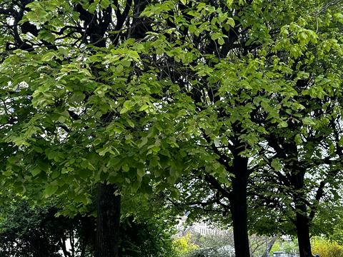 квартира за адресою Університетська вул., 3/10