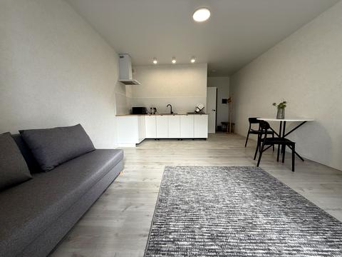 квартира по адресу Чубинского ул., 8-Б