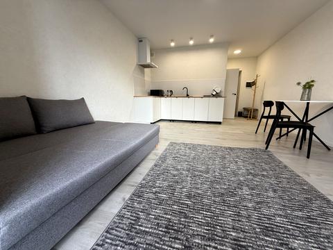 квартира по адресу Чубинского ул., 8-Б