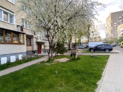 кімната за адресою Володимира Великого вул. (Артема), 29