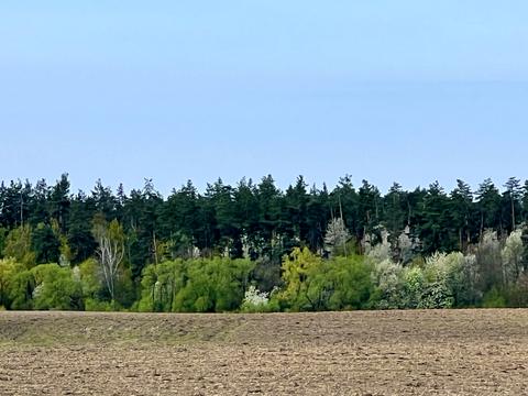 будинок за адресою Ватутіна, 27