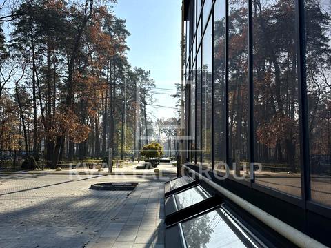 комерційна за адресою Матвія Донцова вул. (Тургенєвська), 24