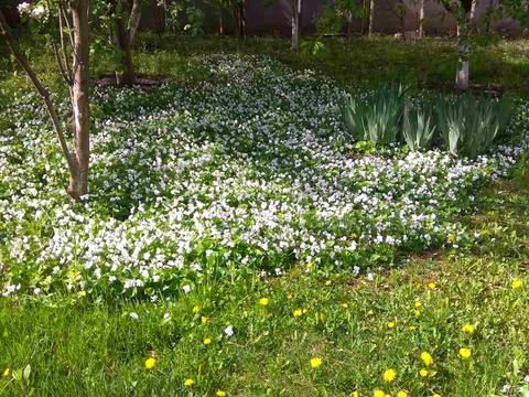 будинок за адресою Крупськоі