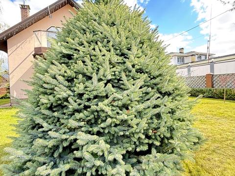 дом по адресу озерна