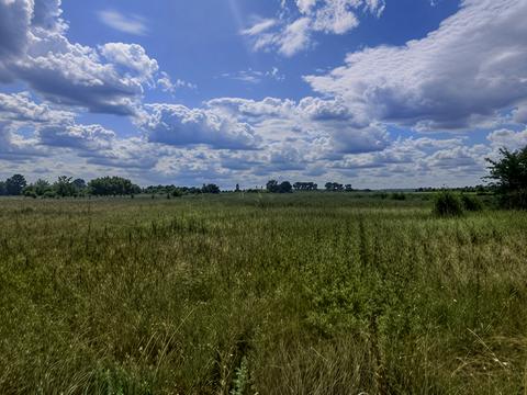 ділянка за адресою 