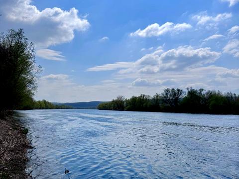 будинок за адресою Дністровська