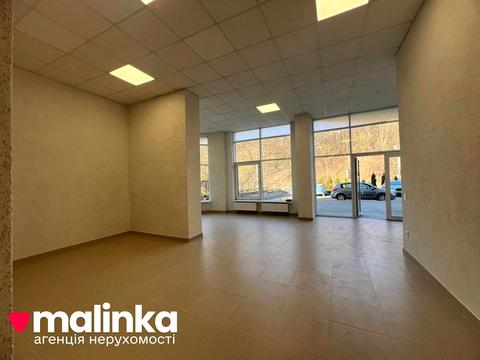 комерційна за адресою Василя Стуса вул. (Островського), 22а