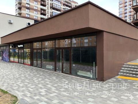 комерційна за адресою Олександра Олеся вул., 2-А