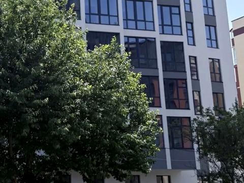 квартира по адресу Панаса Мирного ул., (Будинок)