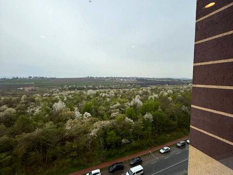 квартира по адресу Ривненская ул., 10