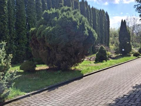 комерційна за адресою Березина вул., 2