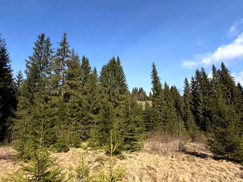 ділянка за адресою ур. Довгий Грунь