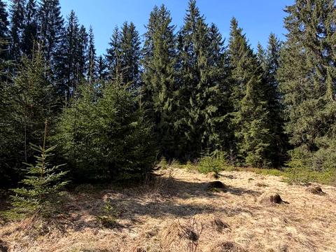 ділянка за адресою ур. Довгий Грунь