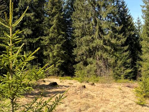 ділянка за адресою ур. Довгий Грунь