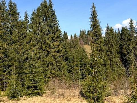 ділянка за адресою ур. Довгий Грунь