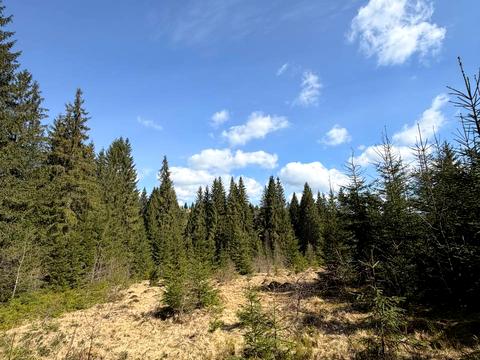 ділянка за адресою ур. Довгий Грунь