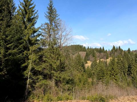 ділянка за адресою ур. Довгий Грунь