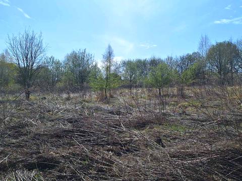 ділянка за адресою Водогінна