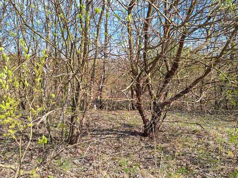 ділянка за адресою Водогінна