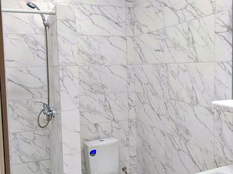 квартира за адресою с. Лиманка, Академіка Вільямса вул., 95/1