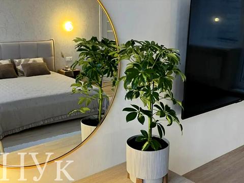 квартира по адресу Старый Рынок ул. (Матросова), 1