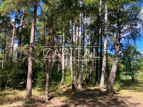 участок по адресу 