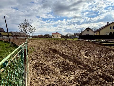 ділянка за адресою Медична