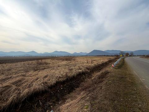 ділянка за адресою с. Шаян, 