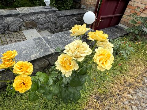 дом по адресу Лугова