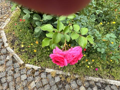 дом по адресу Лугова