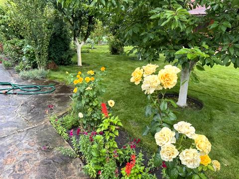 дом по адресу Лугова