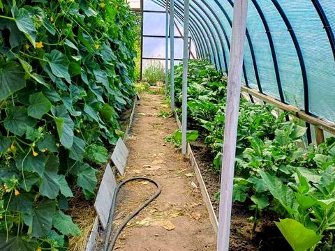 будинок за адресою Київське шосе