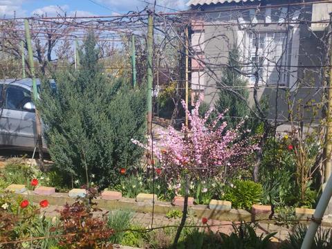 дом по адресу Зеленая