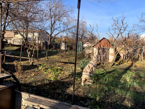 будинок за адресою Василя Стуса вул. (Толстого), 38