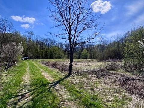 участок по адресу 