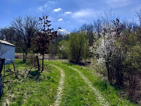 участок по адресу 