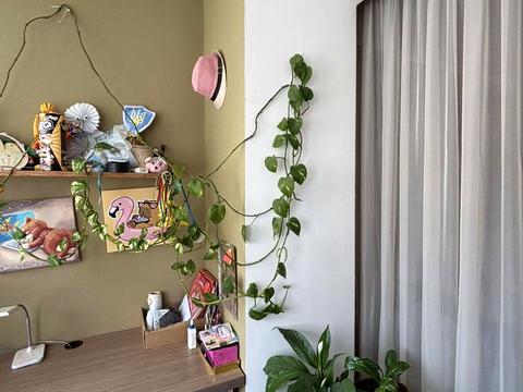 квартира за адресою Зарічанська вул., 22/3