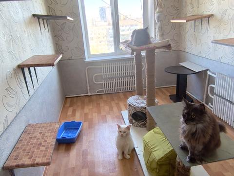 квартира по адресу Героев просп., 12