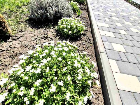 дом по адресу с. Подгайцы, Вул. Дачна, 8