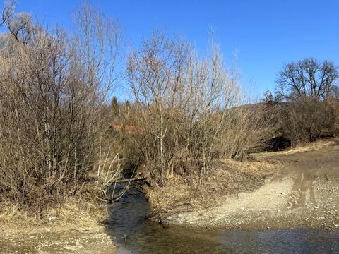 ділянка за адресою 