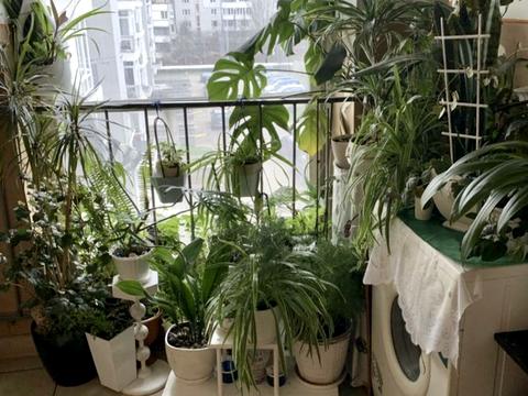 кімната за адресою Львів, Євгена Плужника вул., 3