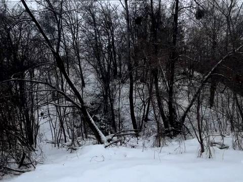 участок по адресу Киевская ул.