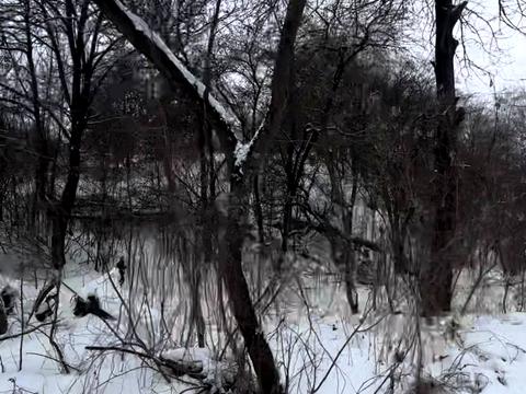 участок по адресу Киевская ул.